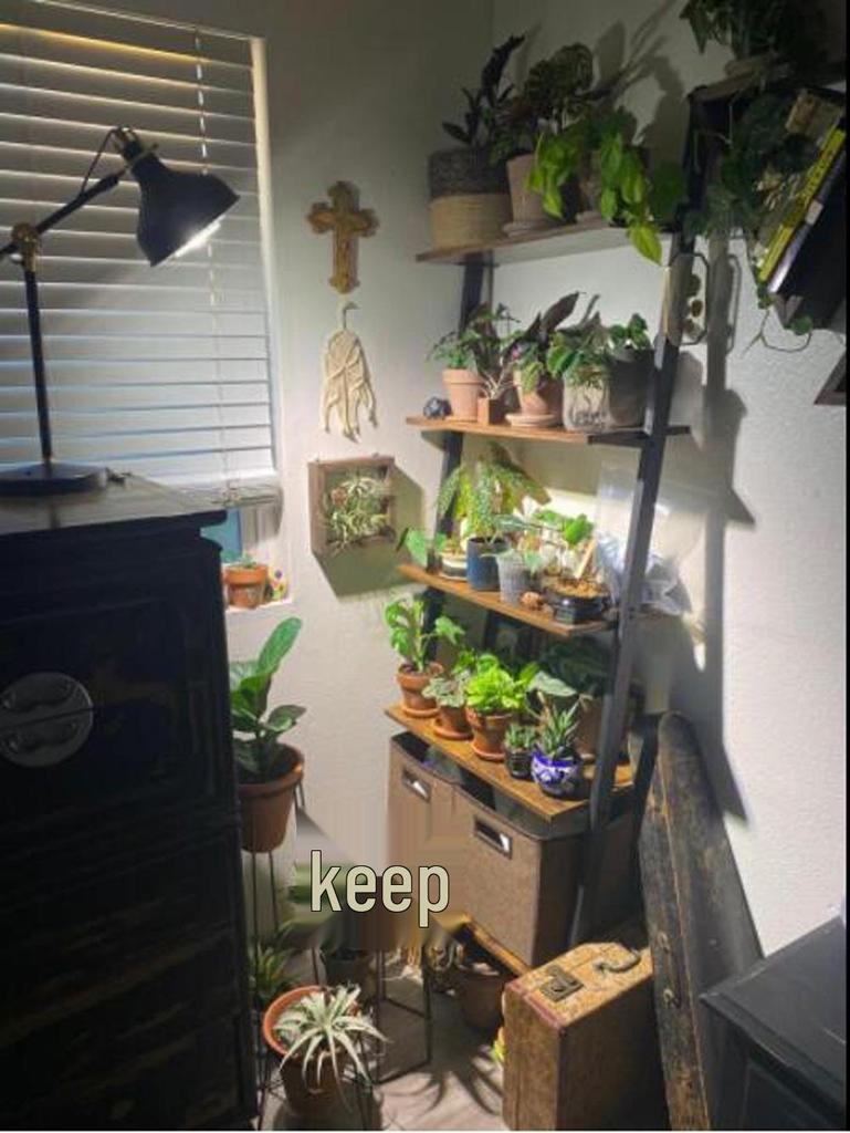 Pełnospektralna lampa do uprawy PAR38 - 30W/35W dla sukulentów, kwiatów, warzyw i roślin zielonych, 98 CRI.