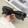 Women Fashion Cat Eye Sunglasses Retro Sun Glasses UV400 Protective Eyewear Trendy Outdoor Travel Eyeglasses Oculos De Sol