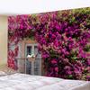 Tapestry Aesthetics Spring Flower Fence  Pink Rose Plant  Wall Garden Window Natural Scenery Home Decoration