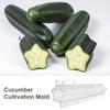 Stampo in Plastica per Coltivazione Cetrioli Forma a Cuore Coperture per Piante Strumento Creativo per Modellare Verdure Agricoltore
