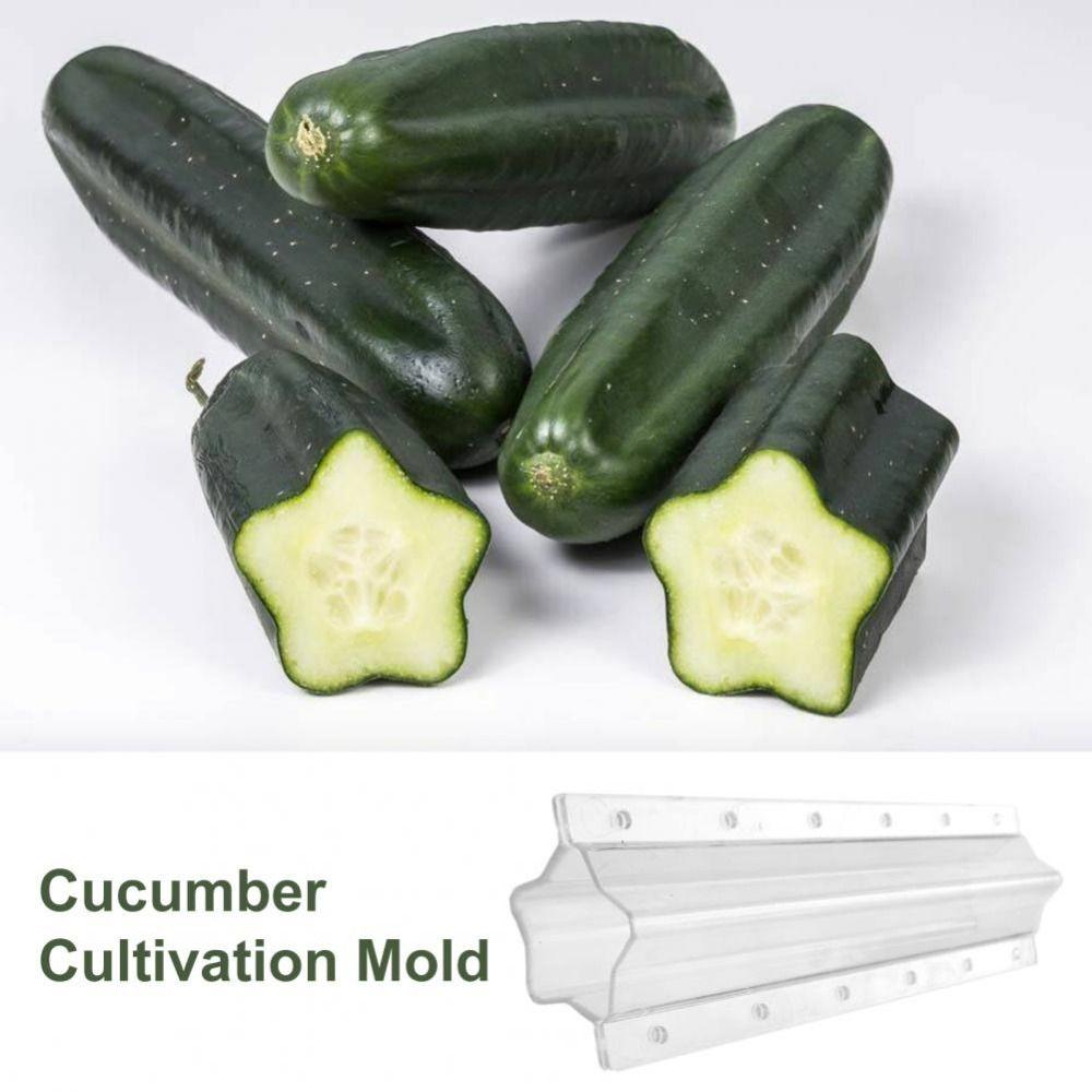 Stampo in Plastica per Coltivazione Cetrioli Forma a Cuore Coperture per Piante Strumento Creativo per Modellare Verdure Agricoltore