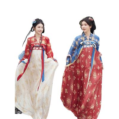 Traditionelles chinesisches Hanfu-Kleid - Tang-Dynastie Blumendruck Passende Outfits für Frauen