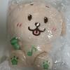[Same-day Shipping] NCT Wish Bakery 30cm Wish Doll Daeng-triever Brand New