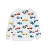 2026 Spring/Autumn Boys' Cotton Round Neck Pullover Hoodie