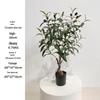 Olive Tree Potted Plant - Indoor Decor Simulation for Living Room