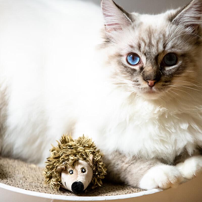 Squeaky Bird Cat Toy