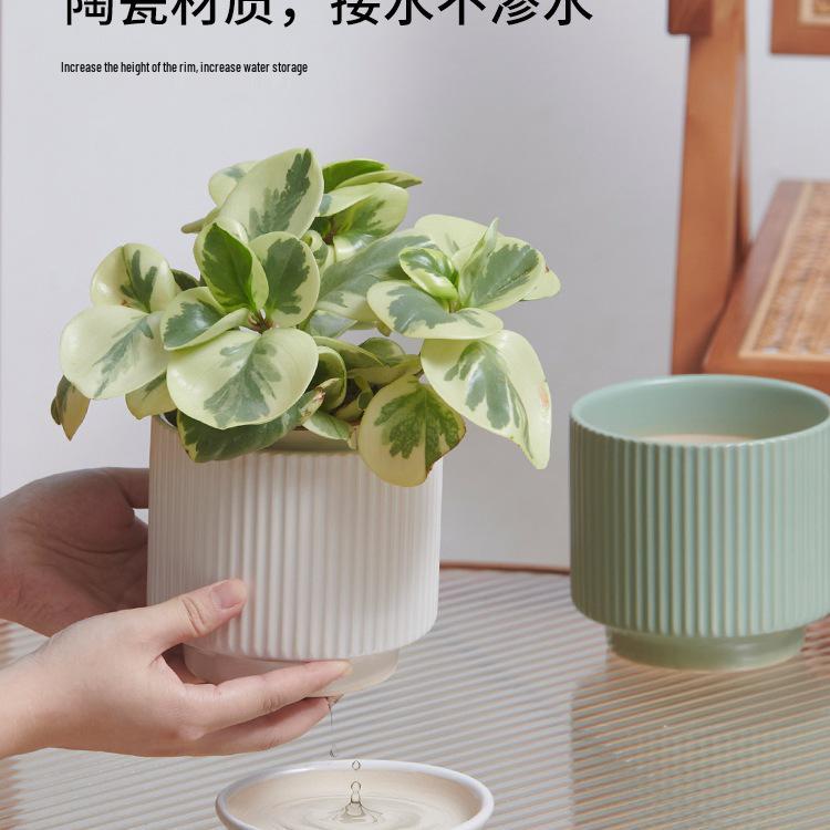 Große Keramik-Auffangschale für Sukkulenten und Bonsai