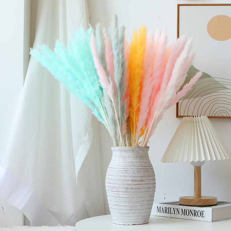 Small Reed Pampas Grass Dried Flower Special Offer Small Reed Dried Flower Bouquet Decoration Wedding Arrangement