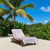 Pastel Palms Reserved Beach Towel Quick Drying Travel Towel Unisex Soft Comfortable Quick Dry Portable for Men Women Beach