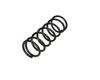 Ft12210 Fast Spring Suspension Rear