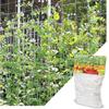 Ready Stocked Plant Climbing Net Mesh Loofah Netting for Morning Glory Vine Flowers Garden Plants Cucumber Grow HolderHot Sell