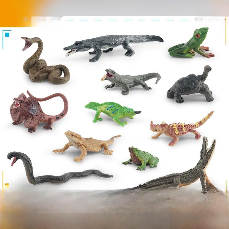 Realistic Pvc Amphibian And Reptile Model Pack For Display And Educational Use