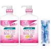 Systema Gum Plus Mundspülung Medizinische Kräuter Minze Reizarm Typ 900ml x 2 Mini-Spülung 80ml ODER Zahnseide als Flüssige Zahnpasta Parodontalerkrankung Pumpe