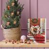Scottish Highland Cow Advent Calendar Christmas 24 Days Funny Cow Countdown 2D Design Holiday