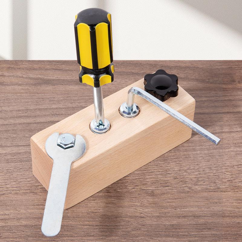Montessori Toddler Educational Lock & Screw Busy Toy