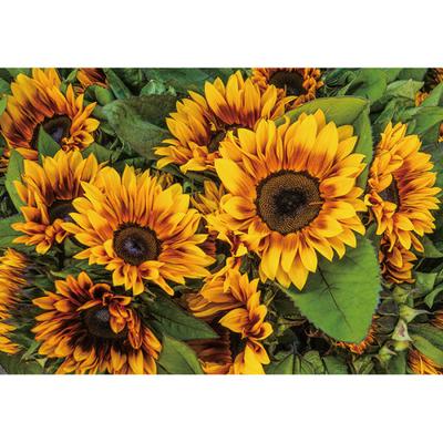 2000 Piece Jigsaw Puzzle - Sunflower (Mini), Popular Korean Puzzle