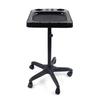 Aluminium Salon Instrument Tray, Height Adjustable Trolley Cart Tray Station on Wheels for Salon Tattoo Spa Beauty Service Holder Tool Storage