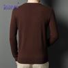 Men's 100% Merino Wool V-Neck Pullover Sweater