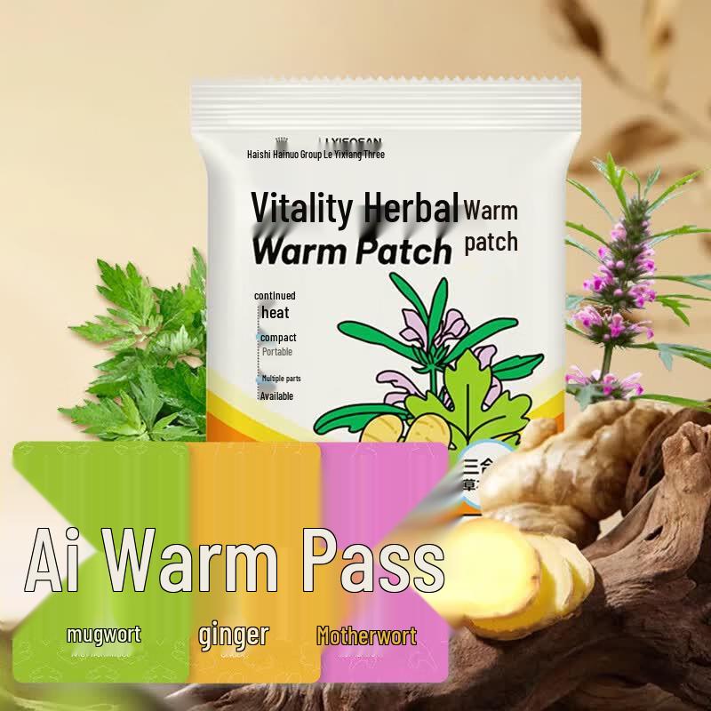 Haishi Hainuo Herbal Warming Patches
