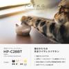 Radius HP-C28BT True Wireless Ohrhörer: NEKO True Wireless Ohrhörer, Bluetooth-kompatibel, vollständig kabellos, linke und rechte Ohrhörer getrennt, AAC,