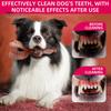 Indestructible Dog Toy for Aggressive Chewers Beef Flavor Tough Chew Toy Nylon Animal Shaped Teeth Cleaning Toy for Medium And Large Dogs