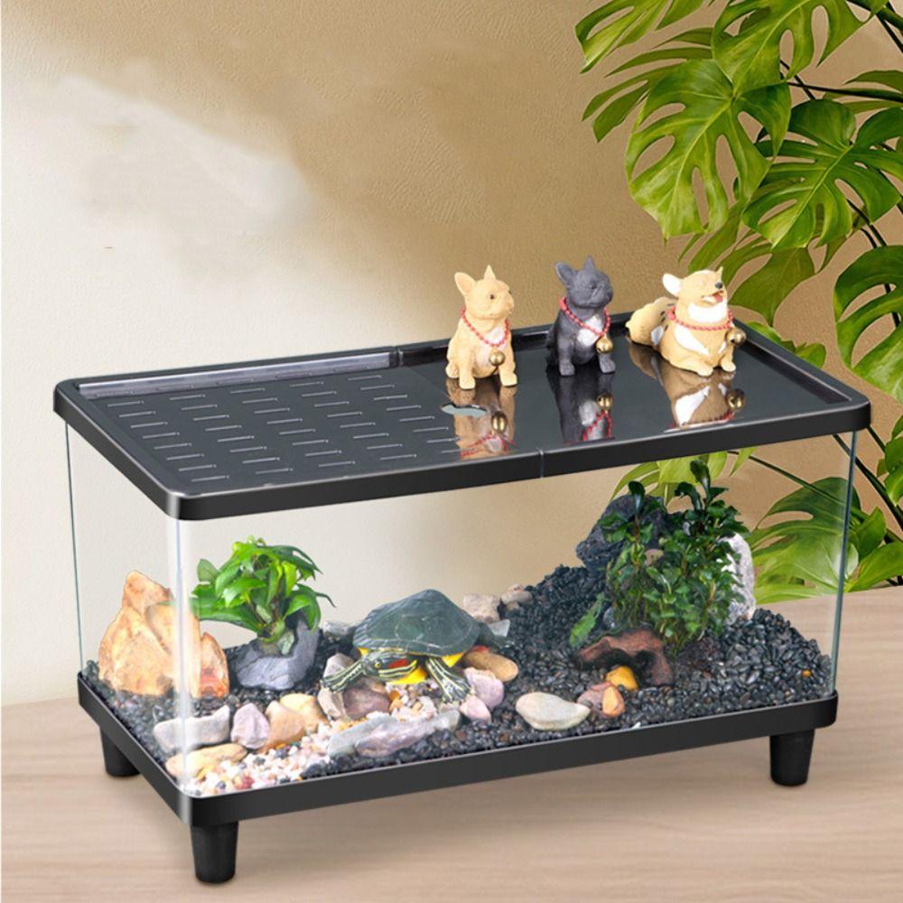 Transparent Lizard Breeding Box Breathable Insect Observation Box Reptile Terrarium  Amphibians