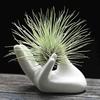 3Pcs Air Plant Holder Ceramics Airplants Holder Small Container Pots Hand Shape Office Desk Base Airplants Display Container