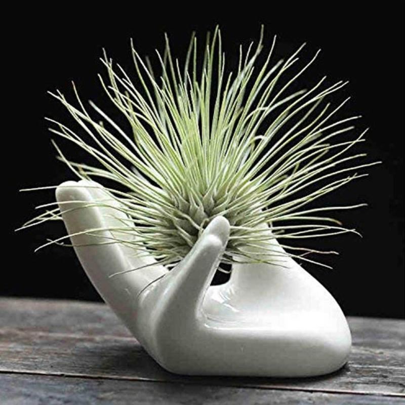 3Pcs Air Plant Holder Ceramics Airplants Holder Small Container Pots Hand Shape Office Desk Base Airplants Display Container