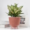 Self-Watering Flowerpot Plant Pot with Visual Reservoir Drainage Hole Self Watering Planter with Absorbent