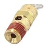 Heavy Duty Brass Safety Valve for Air Compressors with Pressure Regulation
