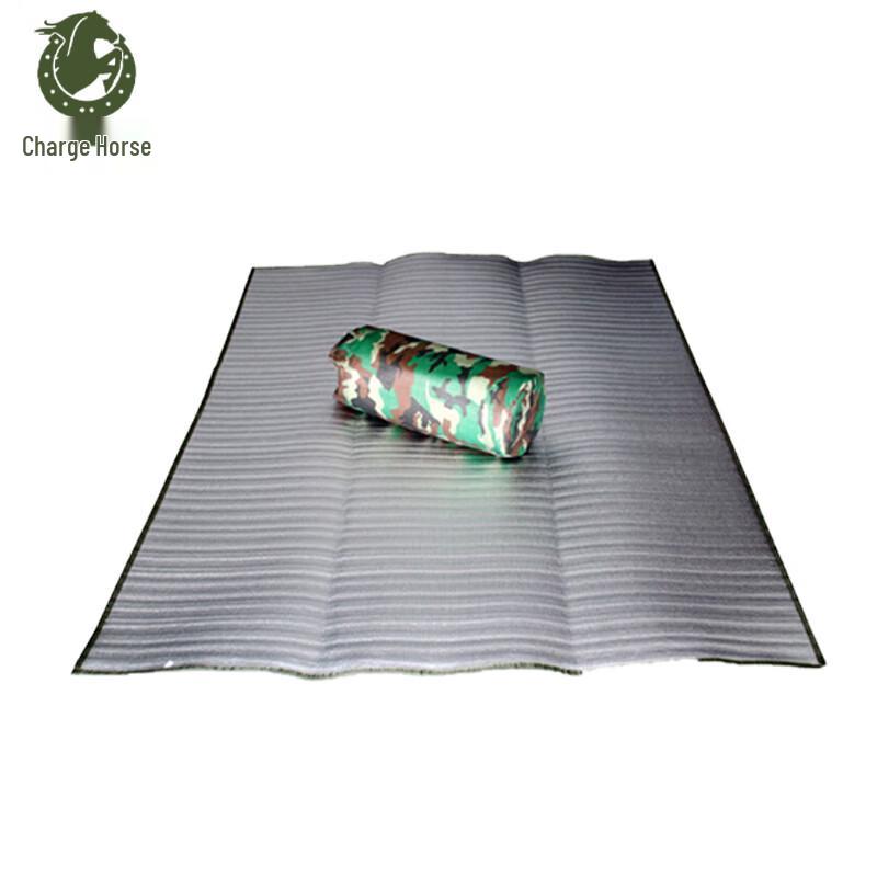 Outdoor Moisture-Proof Camping & Picnic Mat