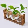 Creative Wooden Frame Hydroponic Small Vase Green Ivy Plant Glass Bottle Container Home Living Room Office Desk Decoration YLE53