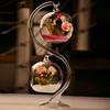 Clear Hanging Tealight Holder Ball Glass Planter Ball Container Hanging Glass Vases  Home Decor