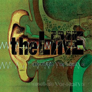 

CD LINE - Auricle YAE2 Volcom Entertai 1996 US Rock Used
