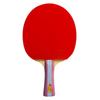 DOUBLE FISH 1-stjärnig Nybörjar Handflata Table Tennisracket Set