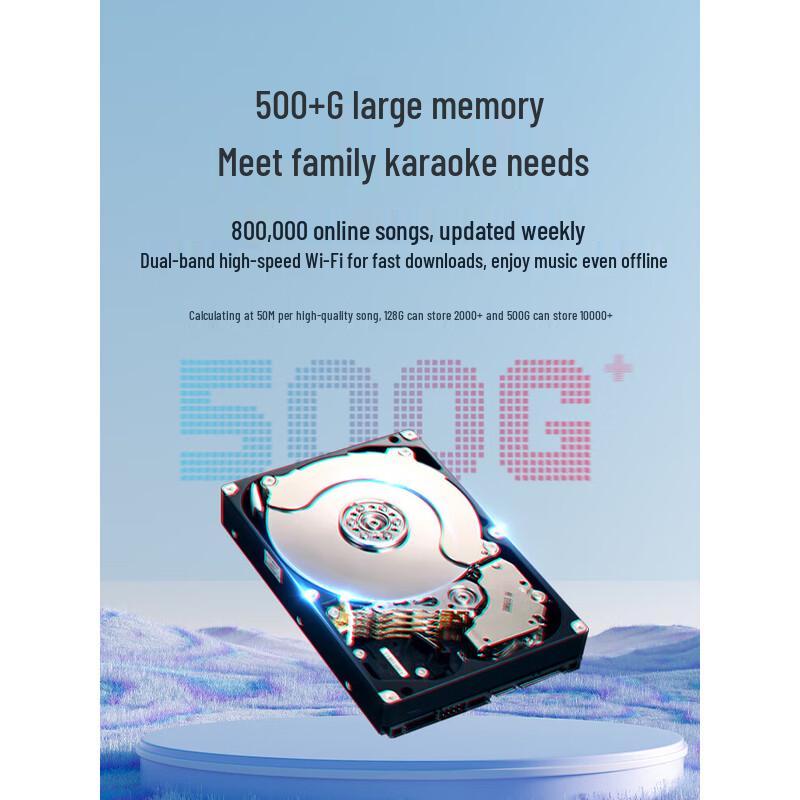 SANSUI E81 Home KTV Audio System CN Plug (adapter Included)