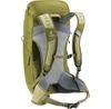 Backpack Deuter AC Lite 24 Linden/cactus (3420824-1206)