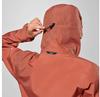 Jacket Salewa Puez GTX 3L EPE Jacket Etruscan Red