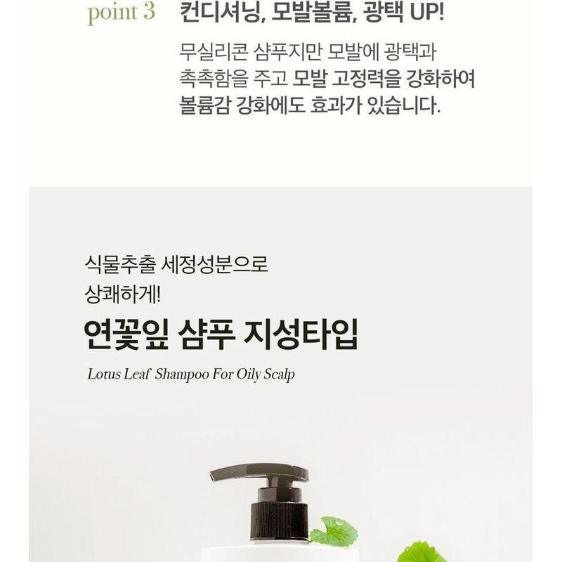 THE PURE LOTUS - Lotus Leaf Shampoo For Oily Scalp Jumbo