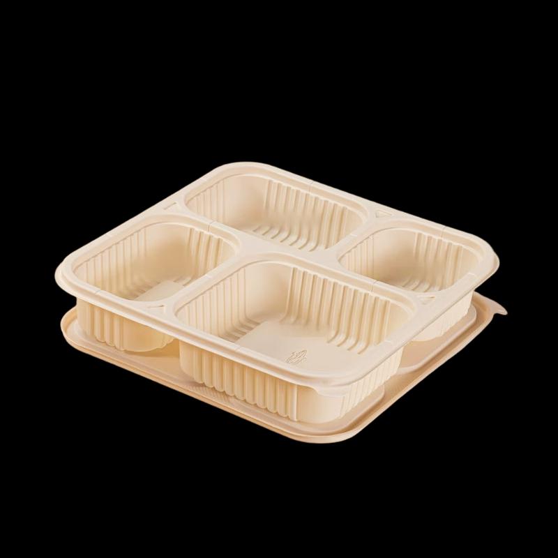 Biodegradable Divided Takeout Food Containers