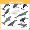 Marine Animal Beluga Whale And Whale Replica Model Set Pvc Toy For Aquarium Decor