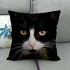 Fashionable cats and cute pet animals Digital printing short plush pillow covers for car sofa office cushion cover home goods