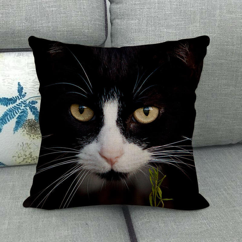 Fashionable cats and cute pet animals Digital printing short plush pillow covers for car sofa office cushion cover home goods