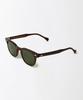 OUTSTANDING Exp-50S Wellington Sunglasses_Beer
