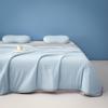 Brangdy Cool Silk Summer Quilt
