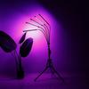 5V Full Spectrum Plant Light with Adjustable Tripod Stand Red Blue Floor Grow Lamp LED Grow Lights for Indoor Plants