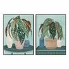 Cadre 90 X 4 X 120 Cm Plante Urbaine (2 Unités)