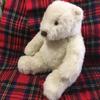[USED] White Teddy Bear - Polar Bear Plush Toy by MON SEUIL