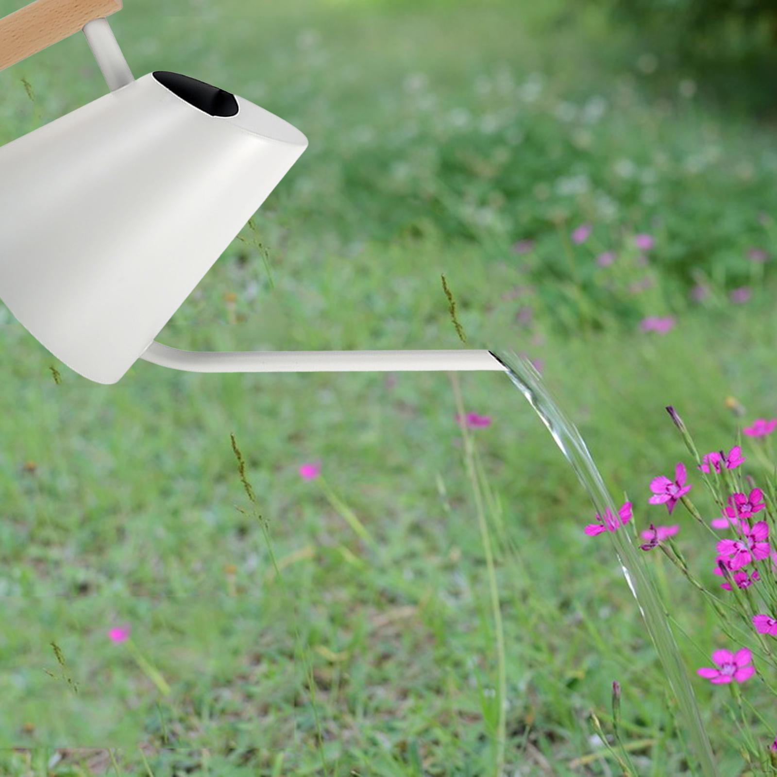 

Лейка из нержавеющей стали 900 мл деревянная ручка цветочный чайник для декора белый