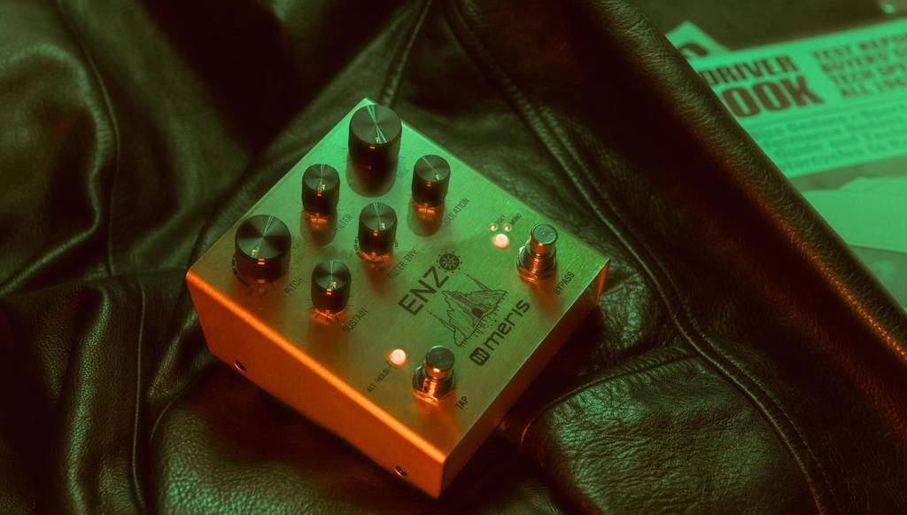meris Enzo Pedal Synthesizer Pedal Effektor EZO-DST Mehrstimmig
